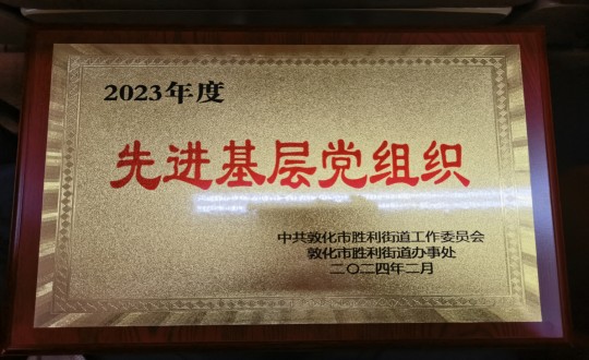 10.物业总公司敦化项目党支部被授予“2023年度先进下层党组织”声誉称呼_副本.jpg