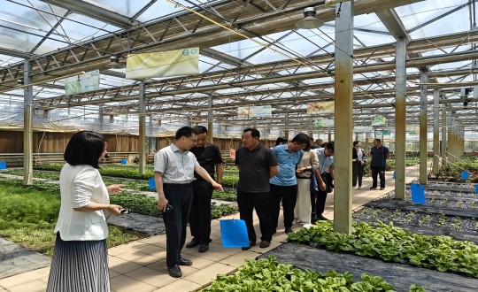 2024年6月27日，中国绿色食物生长中心相关向导莅临农业总公司考察调研_副本.jpg